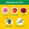 image:imageMiracleGro Water Soluble All Purpose Plant Food Fertilizer for Indoor or Outdoor Flowers Vegetables or Trees 8 oz10 lb