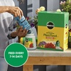 image:imageMiracleGro Water Soluble All Purpose Plant Food Fertilizer for Indoor or Outdoor Flowers Vegetables or Trees 8 oz10 lb Pack of 4
