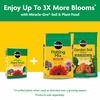 image:imageMiracleGro Water Soluble All Purpose Plant Food Fertilizer for Indoor or Outdoor Flowers Vegetables or Trees 8 oz10 lb Pack of 4