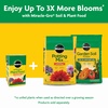 image:imageMiracleGro Water Soluble All Purpose Plant Food Fertilizer for Indoor or Outdoor Flowers Vegetables or Trees 8 oz3 lb