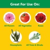 image:imageMiracleGro Water Soluble All Purpose Plant Food Fertilizer for Indoor or Outdoor Flowers Vegetables or Trees 8 oz3 lb
