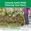 image:imageMiracleGro Water Soluble All Purpose Plant Food Fertilizer for Indoor or Outdoor Flowers Vegetables or Trees 8 oz5 lb