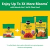 image:imageMiracleGro Water Soluble All Purpose Plant Food Fertilizer for Indoor or Outdoor Flowers Vegetables or Trees 8 oz5 lb