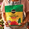 image:imageMiracleGro Water Soluble All Purpose Plant Food Fertilizer for Indoor or Outdoor Flowers Vegetables or Trees 8 oz5 lb