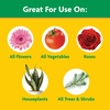 image:imageMiracleGro Water Soluble All Purpose Plant Food Fertilizer for Indoor or Outdoor Flowers Vegetables or Trees 8 oz55 lb