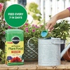 image:imageMiracleGro Water Soluble All Purpose Plant Food Fertilizer for Indoor or Outdoor Flowers Vegetables or Trees 8 oz55 lb