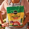 image:imageMiracleGro Water Soluble All Purpose Plant Food Fertilizer for Indoor or Outdoor Flowers Vegetables or Trees 8 oz55 lb Pack of 6