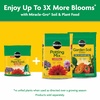 image:imageMiracleGro Water Soluble All Purpose Plant Food Fertilizer for Indoor or Outdoor Flowers Vegetables or Trees 8 oz55 lb Pack of 6