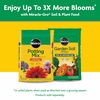 image:imageMiracleGro Water Soluble All Purpose Plant Food Fertilizer for Indoor or Outdoor Flowers Vegetables or Trees 8 oz625 lb