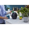 image:imageMiracleGro Water Soluble All Purpose Plant Food Fertilizer for Indoor or Outdoor Flowers Vegetables or Trees 8 oz8 oz 2pack
