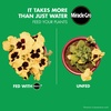 image:imageMiracleGro Water Soluble All Purpose Plant Food Fertilizer for Indoor or Outdoor Flowers Vegetables or Trees 8 oz8 oz 2pack
