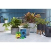 image:imageMiracleGro Water Soluble All Purpose Plant Food Fertilizer for Indoor or Outdoor Flowers Vegetables or Trees 8 oz8 oz 2pack