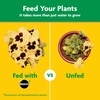 image:imageMiracleGro Water Soluble All Purpose Plant Food Fertilizer for Indoor or Outdoor Flowers Vegetables or Trees 8 oz8 oz