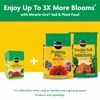image:imageMiracleGro Water Soluble All Purpose Plant Food Fertilizer for Indoor or Outdoor Flowers Vegetables or Trees 8 oz8 oz
