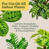 image:imageMiracleGro Indoor Potting Mix for All Plants 16 qt