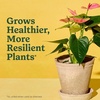 image:imageMiracleGro Indoor Potting Mix for All Plants 16 qt