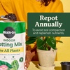 image:imageMiracleGro Indoor Potting Mix for All Plants 16 qt