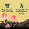 image:imageMiracleGro Indoor Potting Mix for All Plants 16 qt