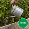 image:imageMiracleGro Water Soluble Tomato Plant Food 15 lb 6Pack15 lb