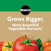 image:imageMiracleGro Water Soluble Tomato Plant Food 15 lb 6Pack3 lb